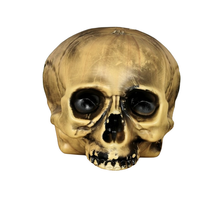 Halloween Media Calavera 20cm