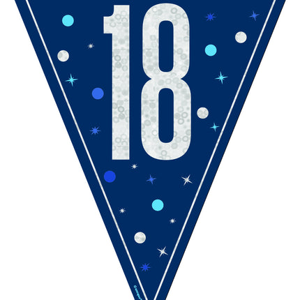 18 Años Guirnalda Azul 2,5 m
