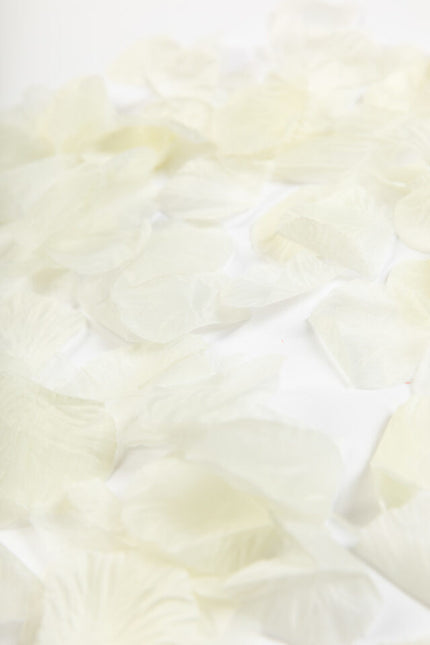 Pétalos de rosa beige 500uds.