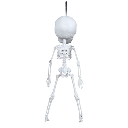 Decoración Colgante Halloween Esqueleto 40cm
