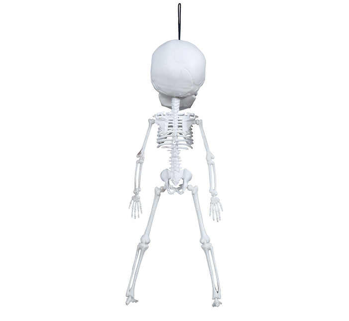 Decoración Colgante Halloween Esqueleto 40cm