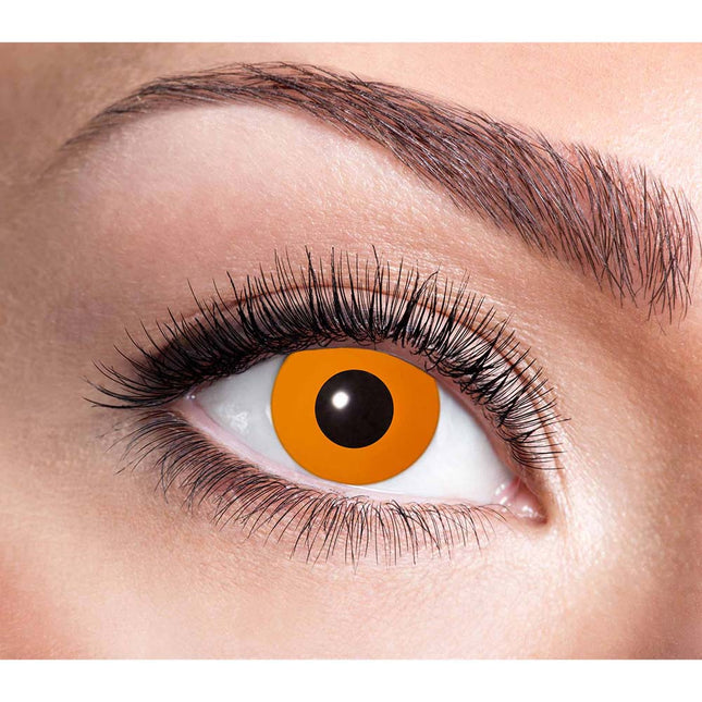 Halloween Wee Lenses Calabaza