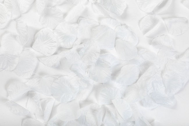 Pétalos de Rosa Blancos 144uds.