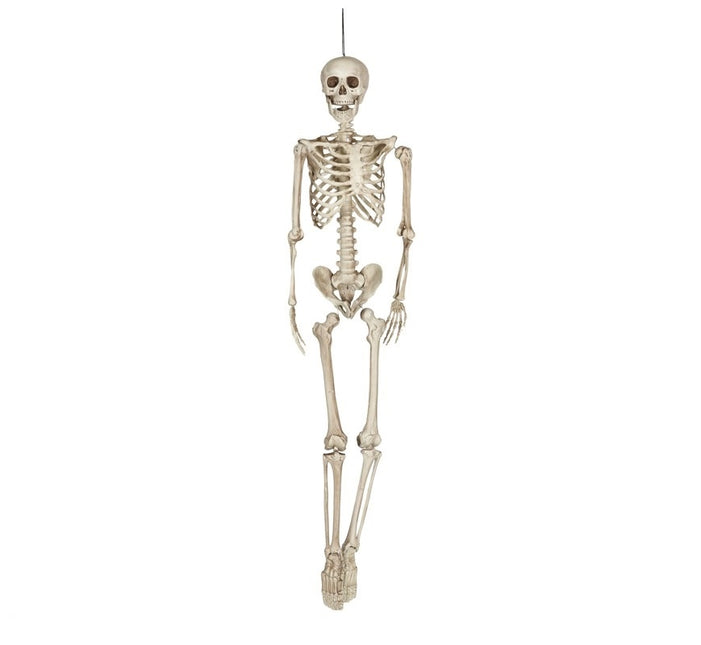 Esqueleto de Halloween 1,6 m