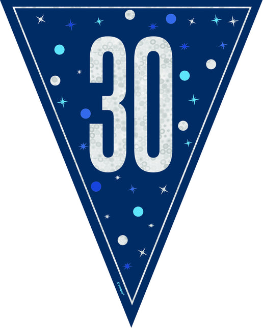 30 Años Guirnalda Azul 2,5m