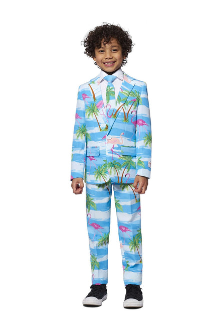 Traje Hawaii Niño Flamingo