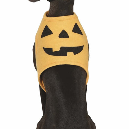 Halloween Animales Disfraz Calabaza Mascota
