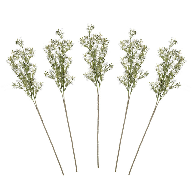 Flores secas Gypsophilia Tallos 40cm 5pcs