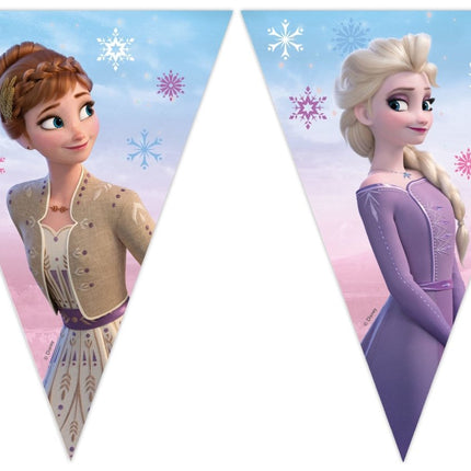 Frozen 2 Wind Spirit Letterslinger van Procos koop je bij Partywinkel