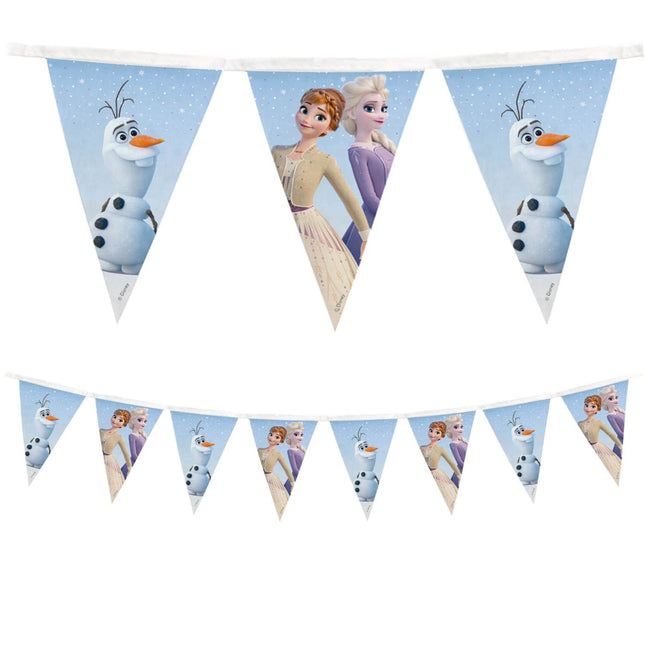 Frozen Ii Wind Spirit Reusable Flag Banner 1St van Procos koop je bij Partywinkel