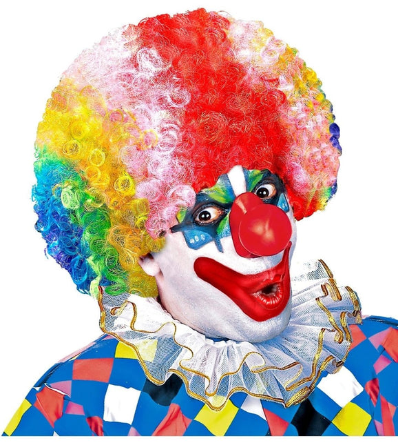 Gekleurde Pruik Clown van Widmann koop je bij Partywinkel