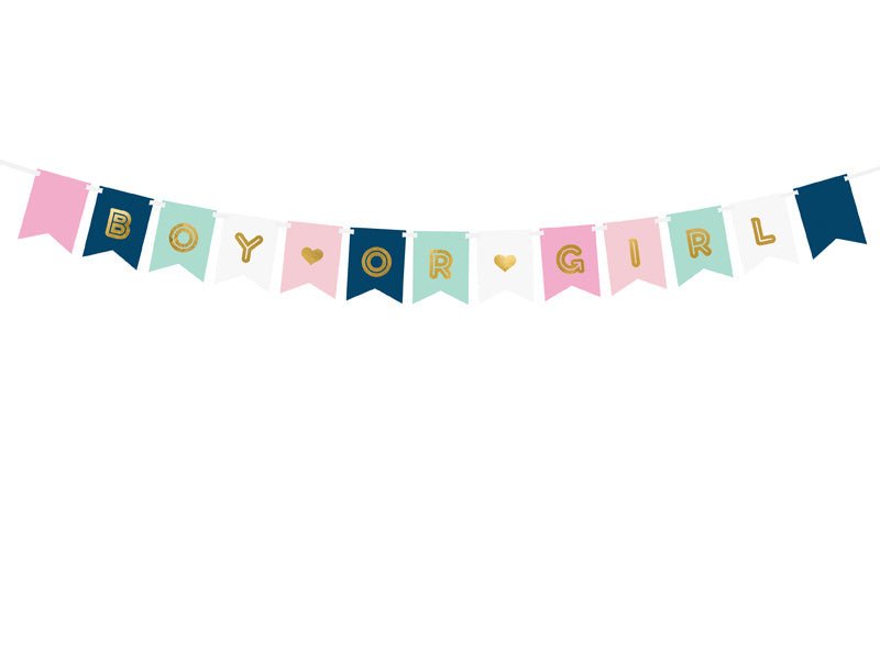 Gender Reveal Banner 1,75m van Partydeco koop je bij Partywinkel