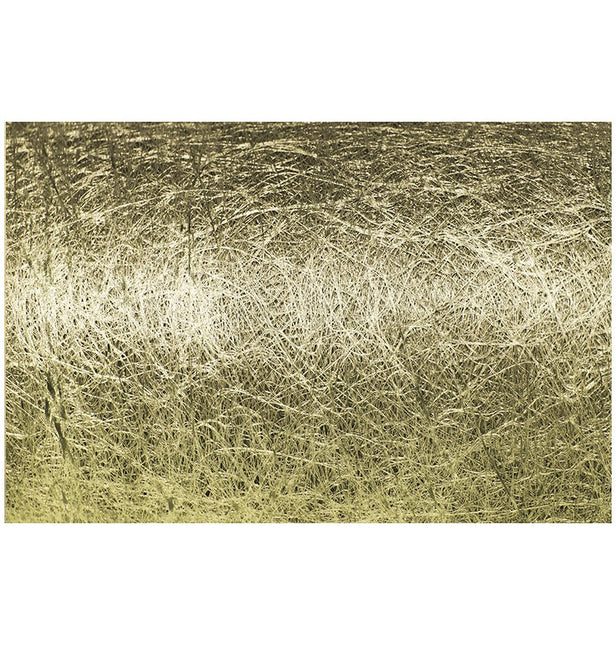 Traves de Mesa Dorado Brillo 10M 30cm