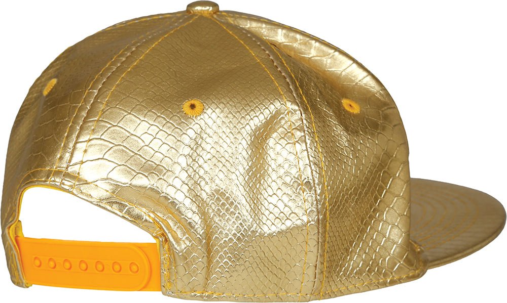 Gouden Pet Dollar - Partywinkel - 8434077137888