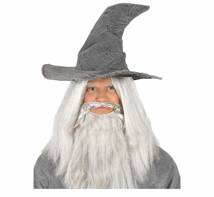 Grijze Hoed Tovenaar van Fiestas Guirca koop je bij Partywinkel
