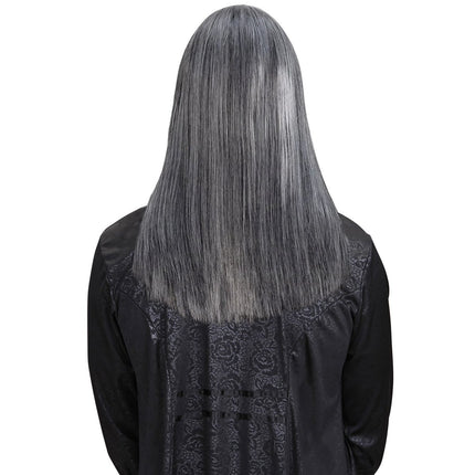 Grijze Pruik Victor van Widmann koop je bij Partywinkel