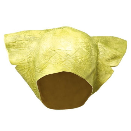 Groen Halloween Masker Monster van Fiestas Guirca koop je bij Partywinkel