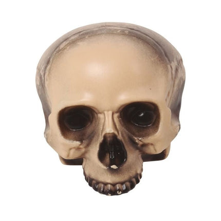 Halloween Half Schedel 20cm van Fiestas Guirca koop je bij Partywinkel