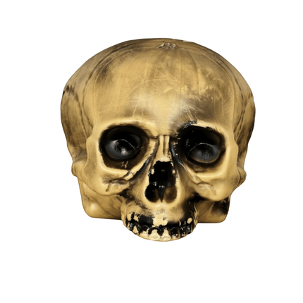 Halloween Half Schedel 20cm van Fiestas Guirca koop je bij Partywinkel
