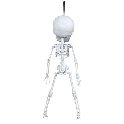 Halloween Hangdecoratie Skelet 40cm van Fiestas Guirca koop je bij Partywinkel