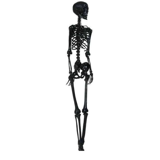 Halloween Hangdecoratie Zwart Skelet 1,6m - Partywinkel - 8434077249383