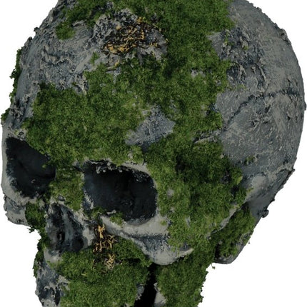 Halloween Kandelaar Doodshoofd Met Kaars 35cm van Fiestas Guirca koop je bij Partywinkel