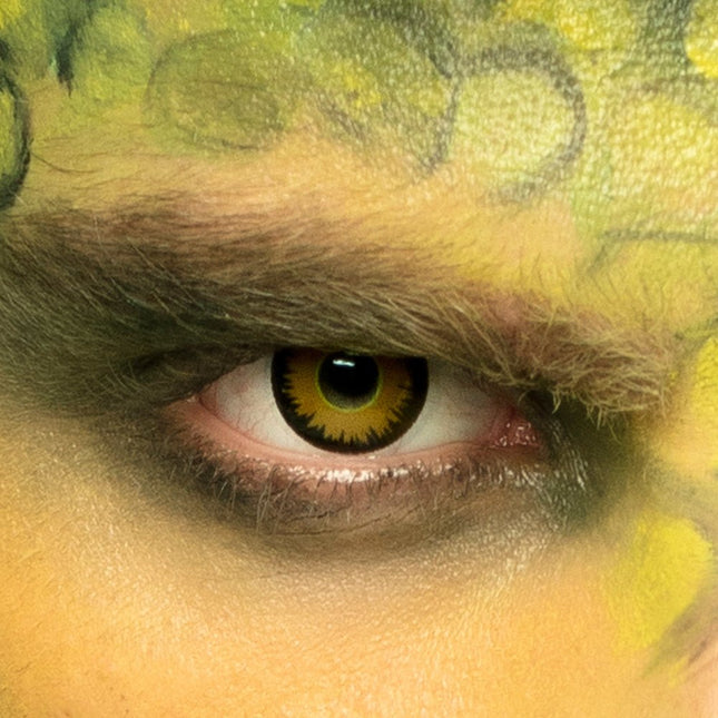 Halloween Kleurlenzen Dinosaurus van Boland koop je bij Partywinkel