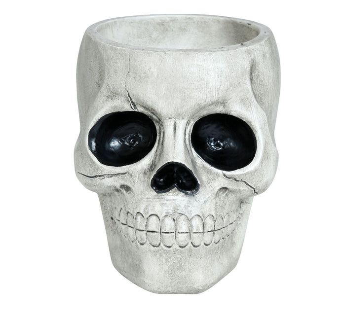 Halloween Kom Schedel 15cm - Partywinkel - 8434077249642