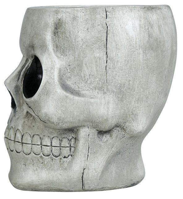 Halloween Kom Schedel 15cm - Partywinkel - 8434077249642