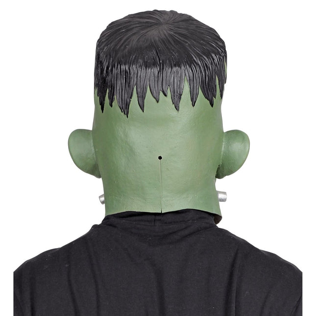 Halloween Masker Groen Laboratoruim Monster van Widmann koop je bij Partywinkel