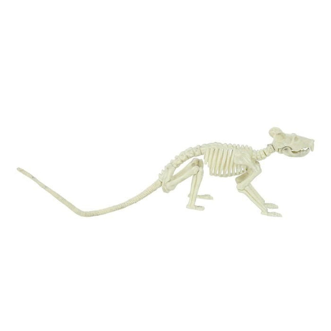 Halloween Ratten Skelet 20cm van Fiestas Guirca koop je bij Partywinkel
