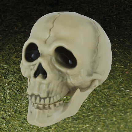 Halloween Schedel 13cm van Fiestas Guirca koop je bij Partywinkel