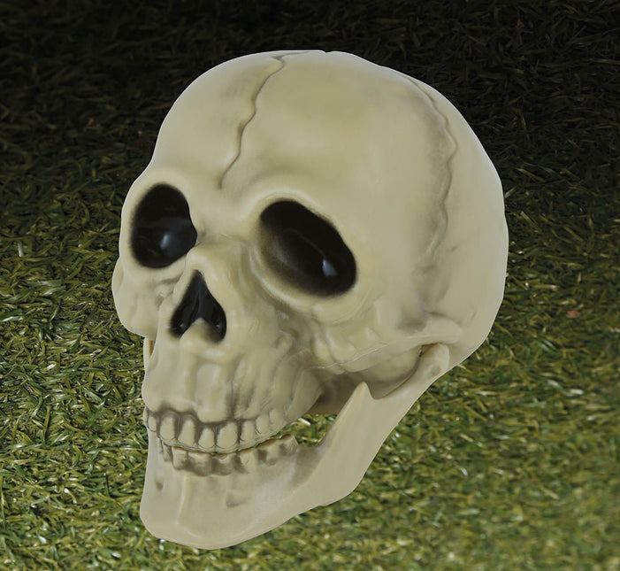 Halloween Schedel 13cm van Fiestas Guirca koop je bij Partywinkel