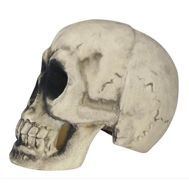 Halloween Schedel 32cm van Fiestas Guirca koop je bij Partywinkel