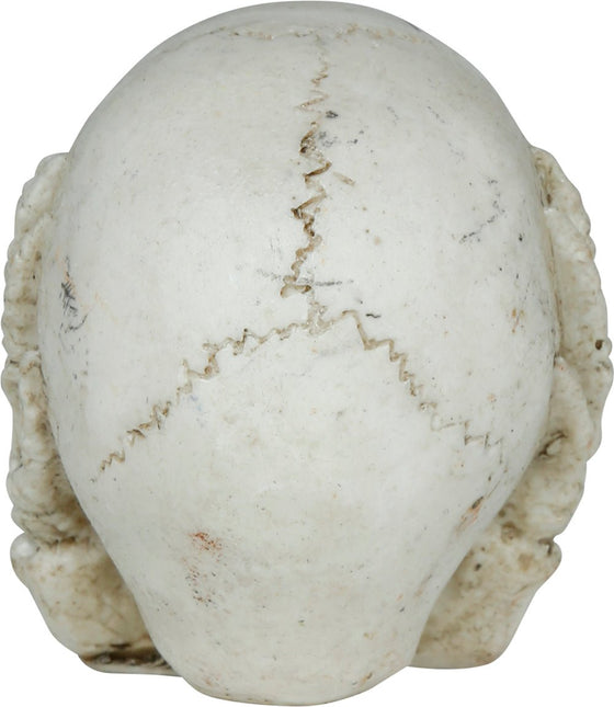 Halloween Schedel 6cm van Fiestas Guirca koop je bij Partywinkel