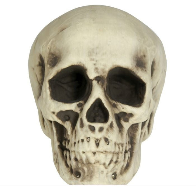 Halloween Schedel Wit Schuim 20cm - Partywinkel - 8434077249567