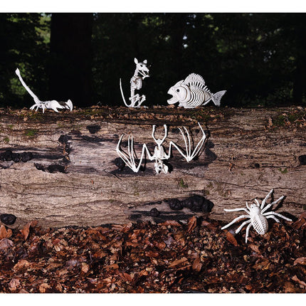 Halloween Schorpioenenskelet 31cm van Boland koop je bij Partywinkel