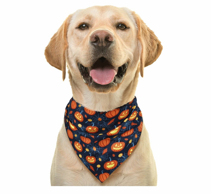 Halloween Sjaal Pompoen van Fiestas Guirca koop je bij Partywinkel