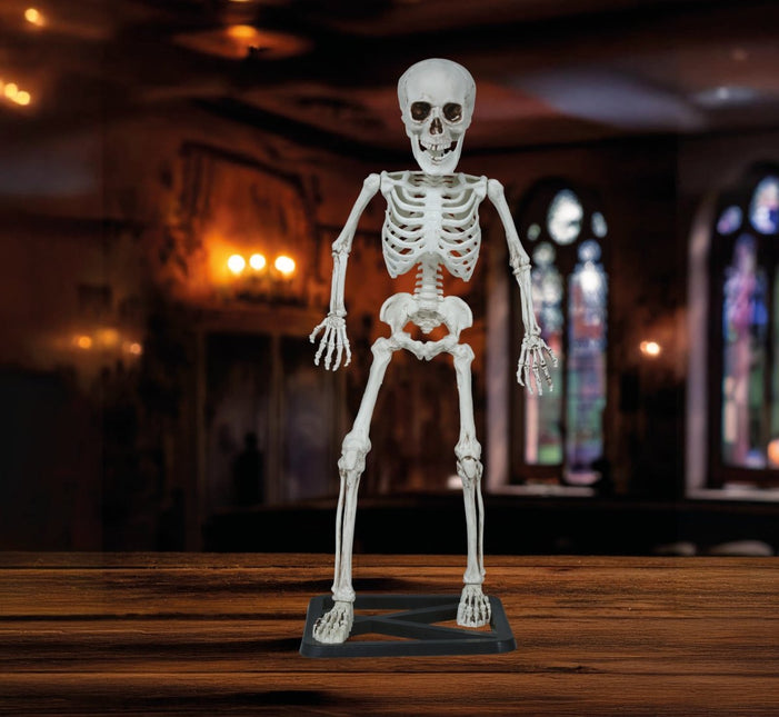 Halloween Skelet 55cm van Fiestas Guirca koop je bij Partywinkel
