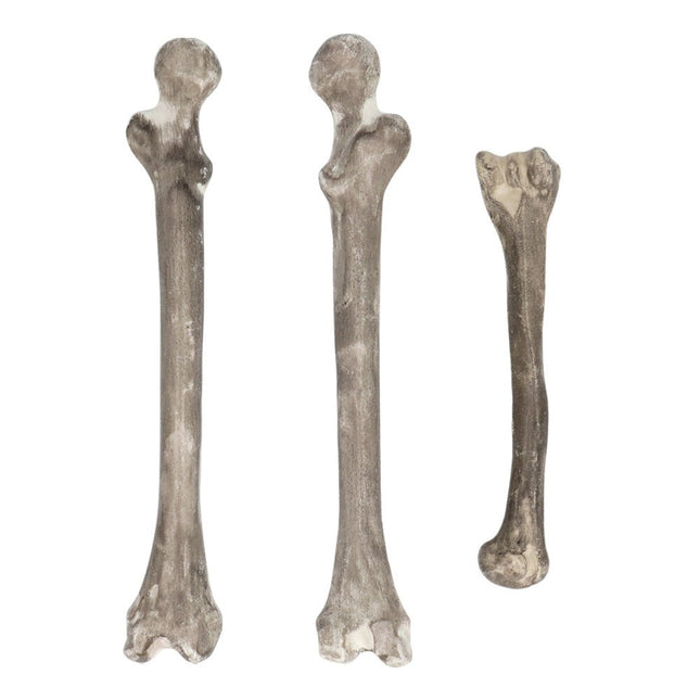 Halloween Skelet 6st van Boland koop je bij Partywinkel