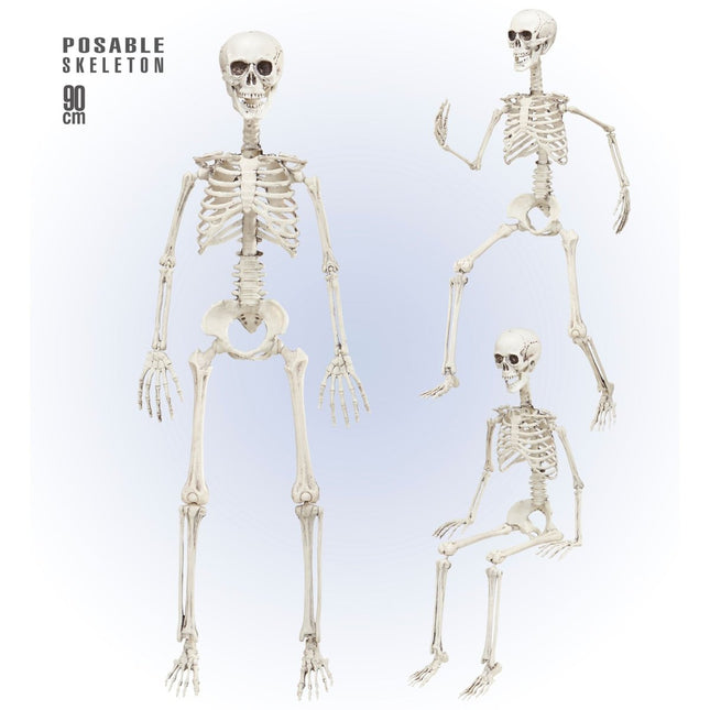 Halloween Skelet Beweegbaar 90cm van Widmann koop je bij Partywinkel