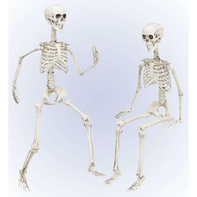 Halloween Skelet Beweegbaar 90cm van Widmann koop je bij Partywinkel