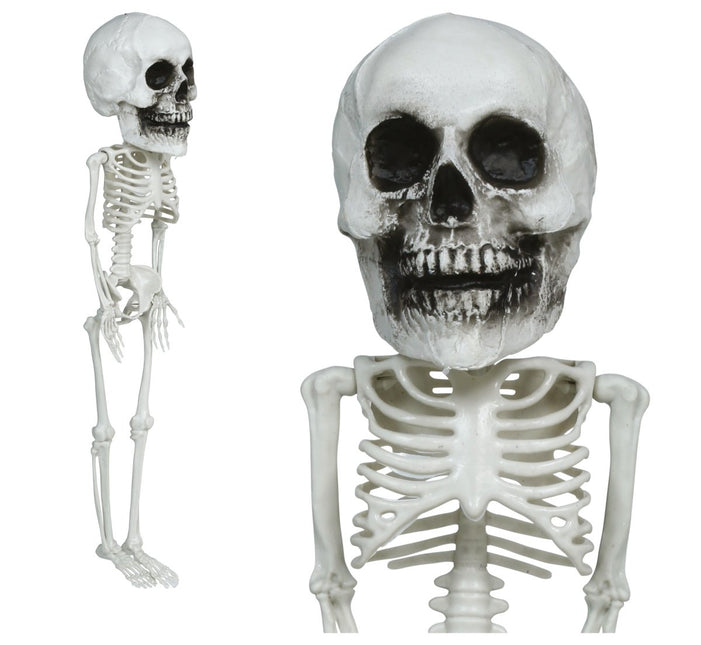 Halloween Skelet Hangend Groot Hoofd 40cm van Fiestas Guirca koop je bij Partywinkel