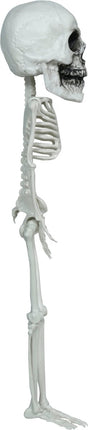 Halloween Skelet Hangend Groot Hoofd 40cm van Fiestas Guirca koop je bij Partywinkel