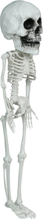 Halloween Skelet Hangend Groot Hoofd 40cm van Fiestas Guirca koop je bij Partywinkel