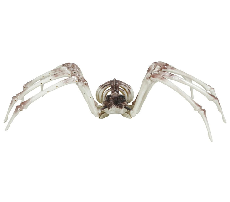 Halloween Skelet Spider 85cm - Partywinkel - 8434077249765
