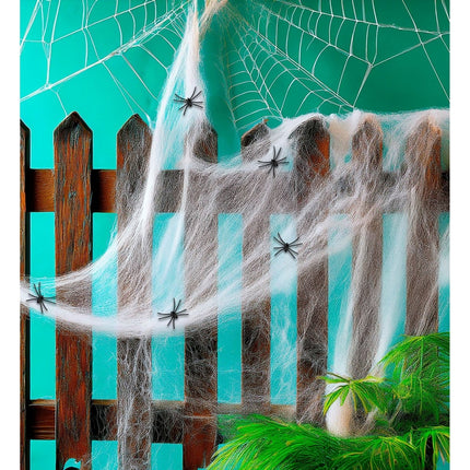 Halloween Spinnenweb Wit Met Spinnen 6 delig van Widmann koop je bij Partywinkel