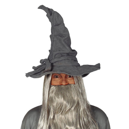 Halloween Tovenaarshoed Grijs van Fiestas Guirca koop je bij Partywinkel