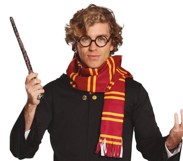 Harry Potter Set 2 delig van Fiestas Guirca koop je bij Partywinkel