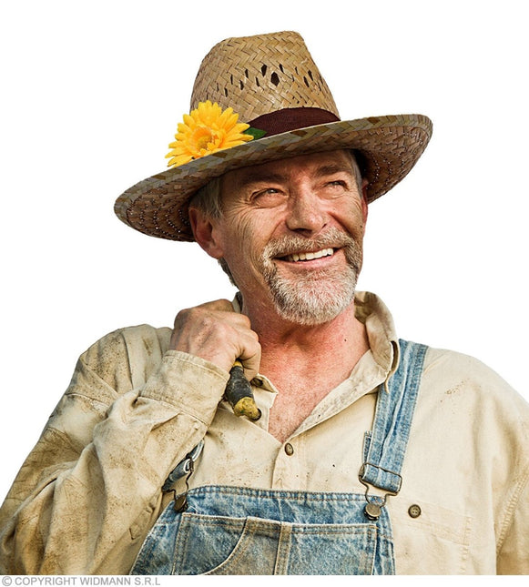 Hawaii Hoed Riet van Widmann koop je bij Partywinkel